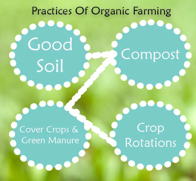Practices Of Organic Farming