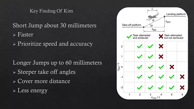 Key Findings of Kim